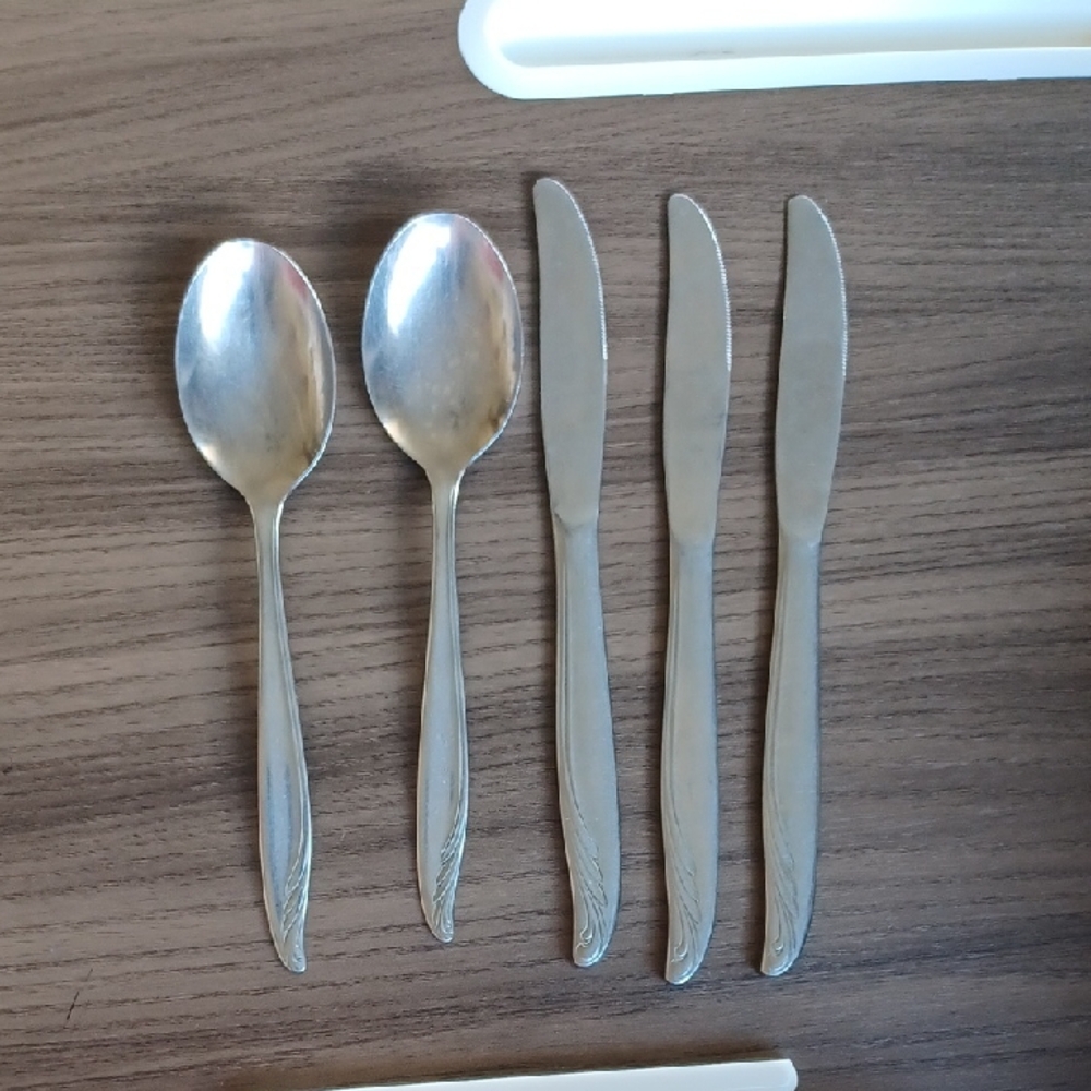 Vintage WM. Rogers & Son. Stainless Table Spoons and Butter Knives